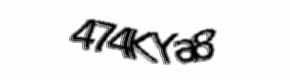 Security check image, please type the characters shown